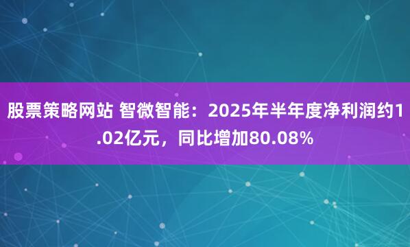 股票策略网站 智微智能：2025年半年度净利润约1.02亿元，同比增加80.08%